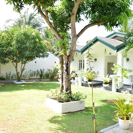 The Bamboo Tree Transit Hotel Katunayaka Buitenkant foto