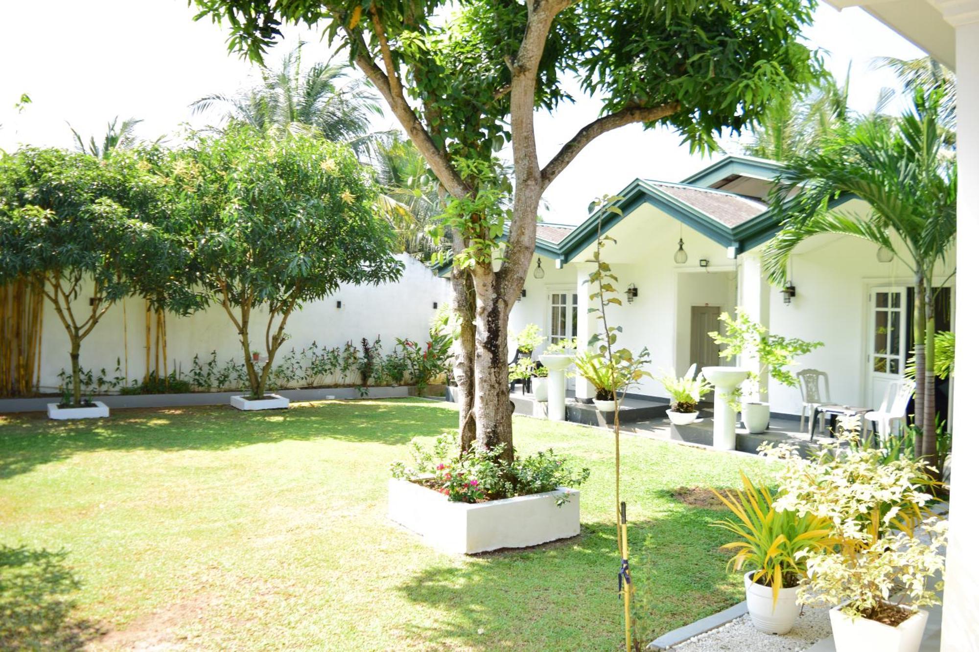The Bamboo Tree Transit Hotel Katunayaka Buitenkant foto