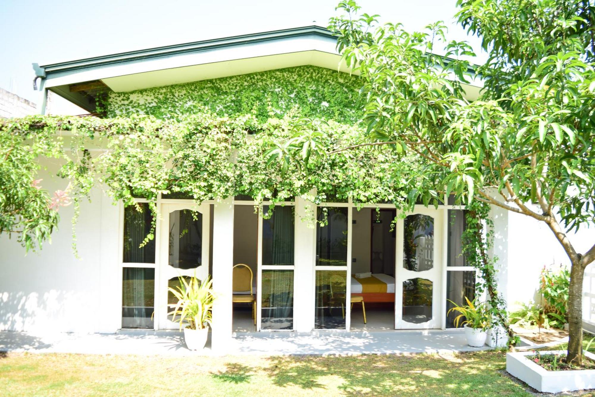 The Bamboo Tree Transit Hotel Katunayaka Buitenkant foto