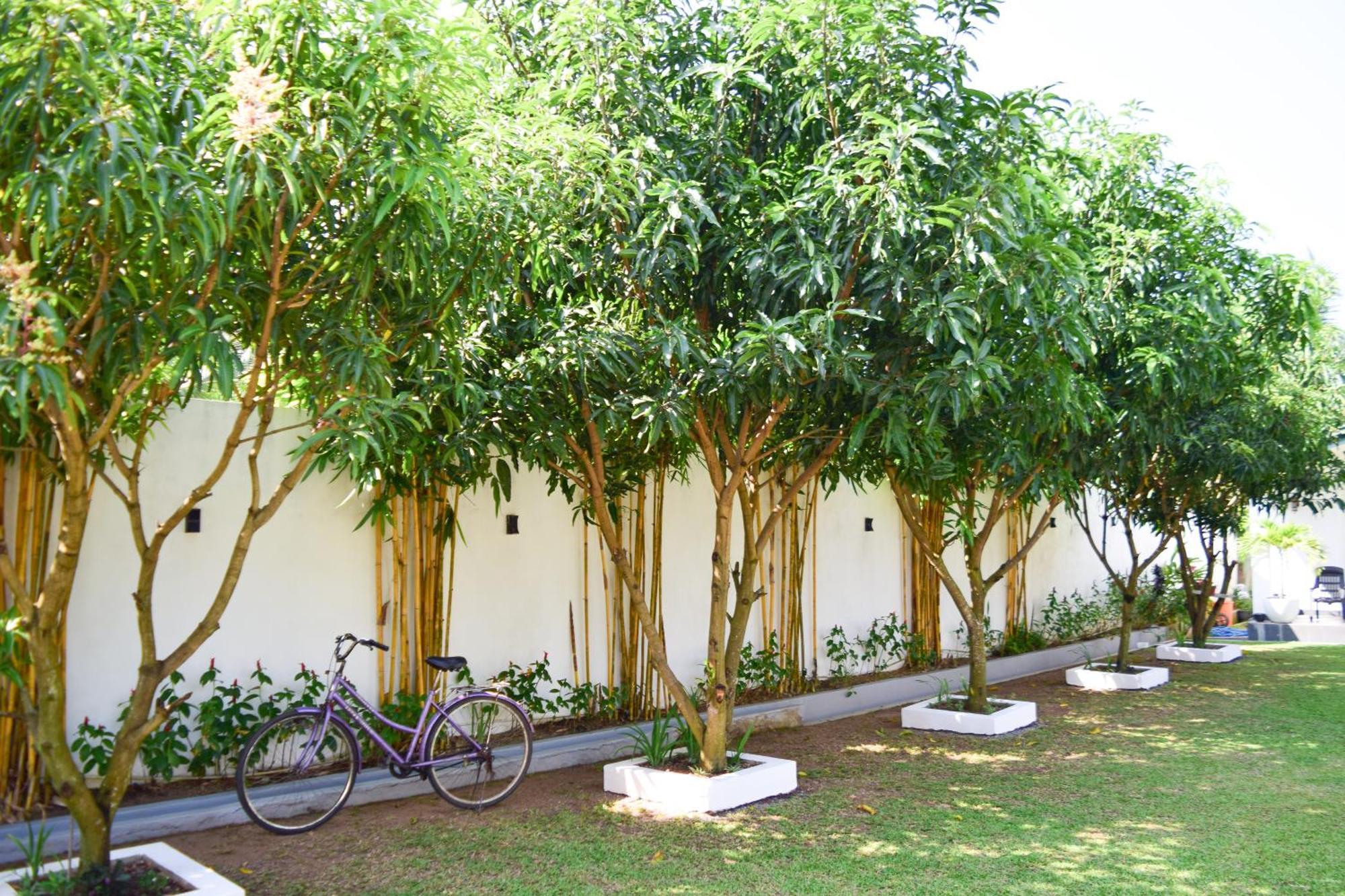 The Bamboo Tree Transit Hotel Katunayaka Buitenkant foto